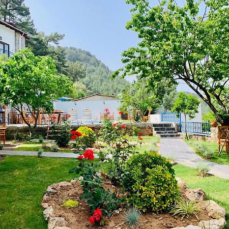 Alp Inn Villas Turunç Exterior photo
