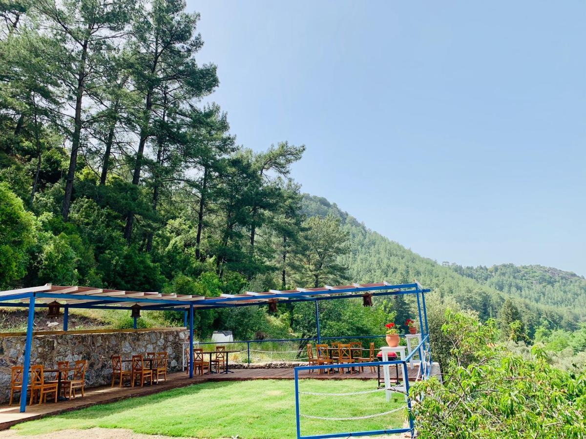 Alp Inn Villas Turunç Exterior photo